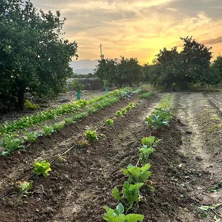 Boutique Moli El Canyisset