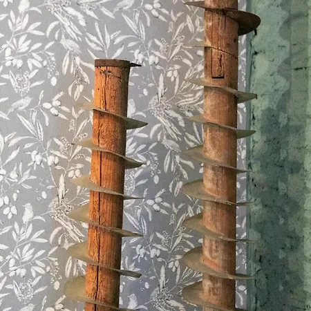 Ξενοδοχείο Boutique Moli El Canyisset