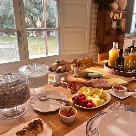 Ξενοδοχείο Boutique Moli El Canyisset La Font D´En Carròs