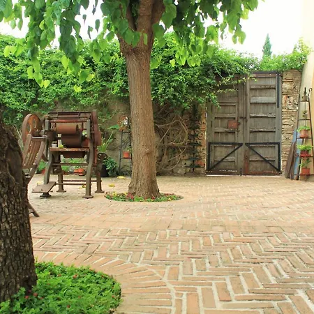 Boutique Moli El Canyisset La Font D´En Carròs