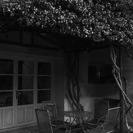 Hotel Boutique Moli El Canyisset 3*